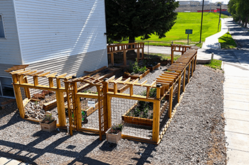 Community garden with a gravel ground.